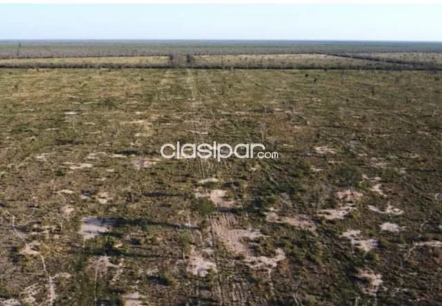Estancia de 2.800 Hectáreas en Tte. Martinez, Fuerte Olimpo - CLCS7644540, foto 2