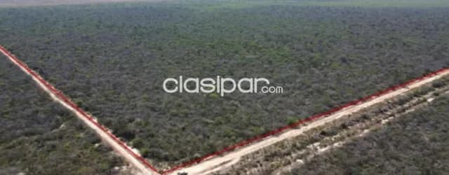 Estancia de 2.800 Hectáreas en Tte. Martinez, Fuerte Olimpo - CLCS7644540, foto 4