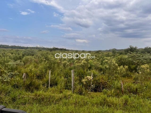 Campo Agrícola/Ganadero en Repatriación - 38 Ha