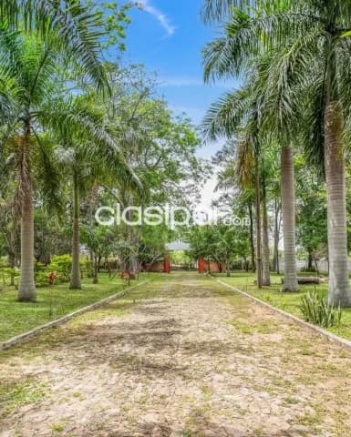 San Bernardino, oportunidad: Quinta ecológica en oferta p/ loteamientos, 4.2 has, piscina, foto 3