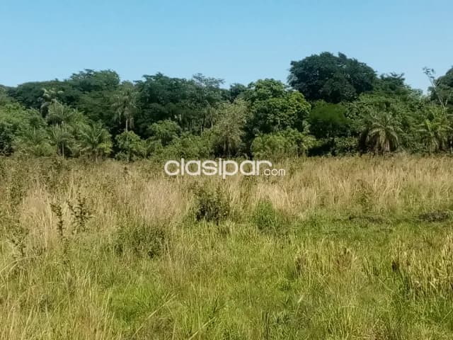 Campo en Emboscada - 27 Ha — foto 2