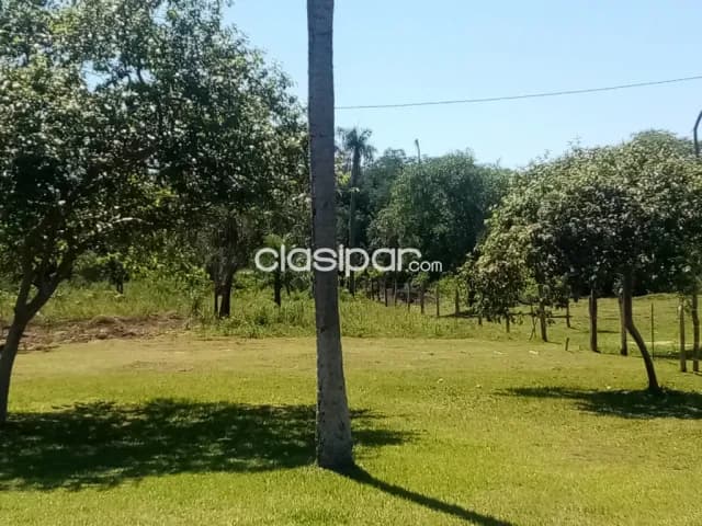 Campo en Emboscada - 27 Ha — foto 3