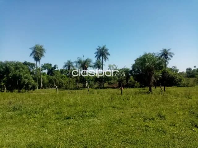 Campo en Emboscada - 27 Ha — foto 4