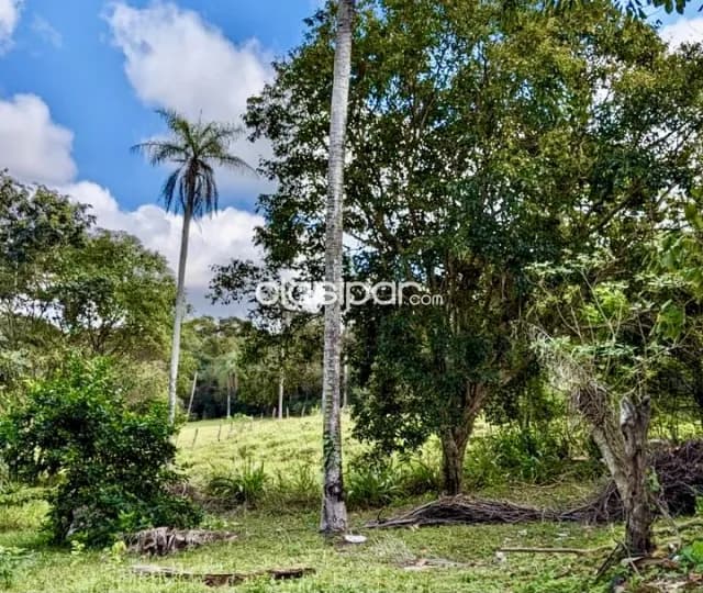 Terreno Rural en Caacupe - 5 Ha, foto 3