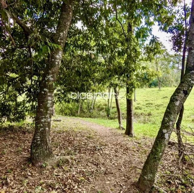 Terreno Rural en Caacupe - 5 Ha, foto 4