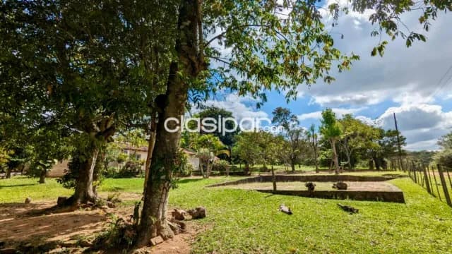 Terreno Rural en Caacupe - 5 Ha, foto 5