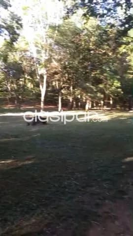 casa quinta con 3.5 has, Pirayuí, San Ber, foto 4