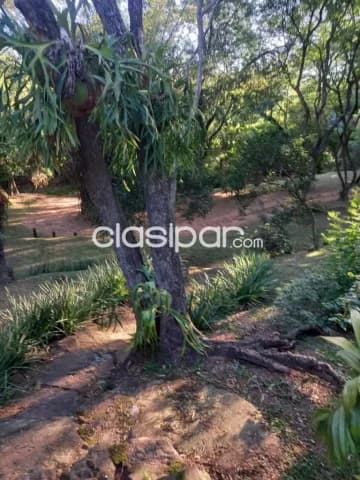 casa quinta con 3.5 has, Pirayuí, San Ber, foto 5