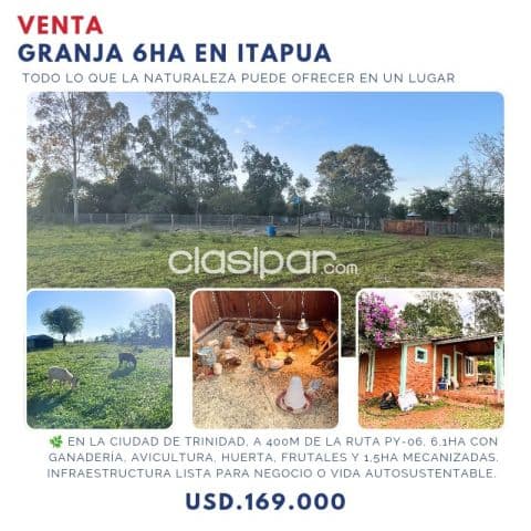Itapua Bajo De Precio 61 Has Prox Capiibary Ganadera Criadero Avicola Agricola, foto 1