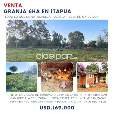 Itapua Bajo De Precio 61 Has Prox Capiibary Ganadera Criadero Avicola Agricola, foto 2