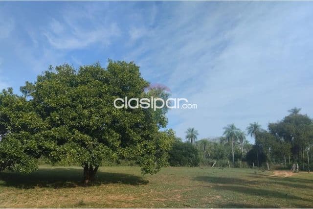 10 hectareas en nueva colombia compañia boqueron tres reyes alto potencial, foto 1