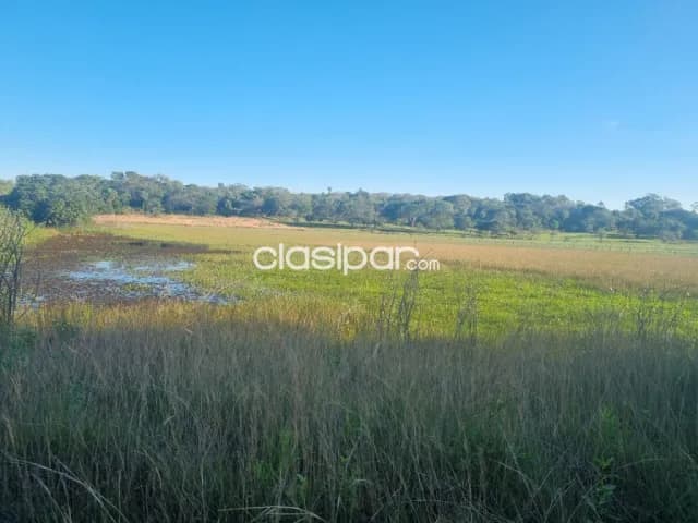 Oferta de 4 ha.en Nueva Colombia, foto 2