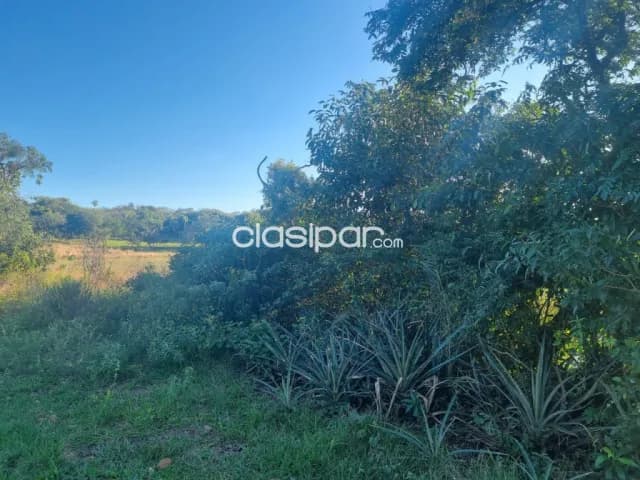 Oferta de 4 ha.en Nueva Colombia, foto 3