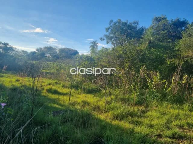 Oferta de 4 ha.en Nueva Colombia, foto 4