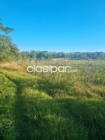 Oferta de 4 ha.en Nueva Colombia, foto 5