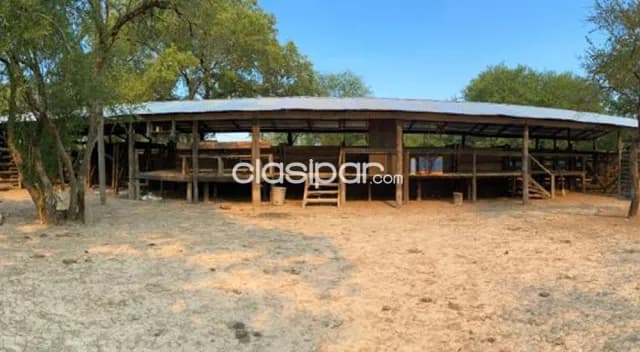 Fortin caballero - ruta xii - 1.404 hectareas - extancia moderna y formada, foto 4
