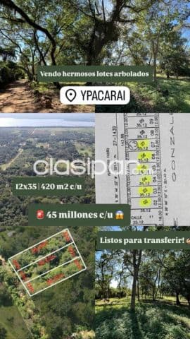 Terrenos en ypacarai, zona mbokajaty cod 6278