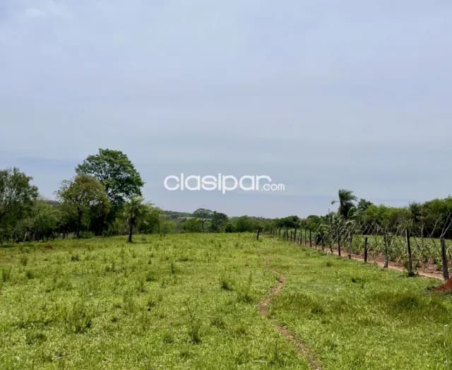 Campo Agrícola/Ganadero en Juan León Mallorquín - 20 Ha, foto 3
