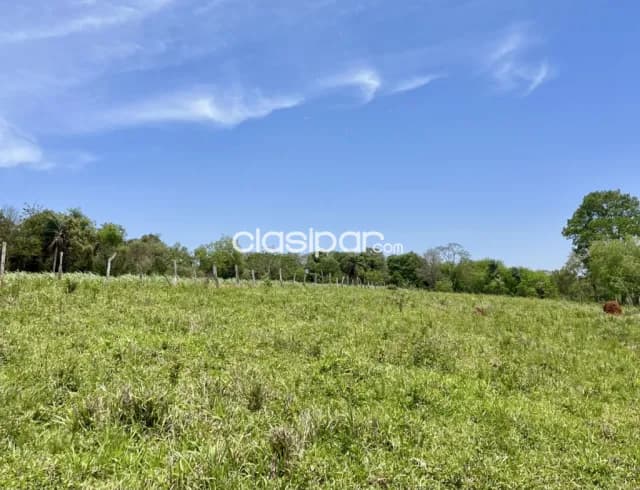 Campo Agrícola/Ganadero en Juan León Mallorquín - 20 Ha, foto 4