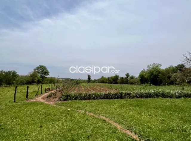Campo Agrícola/Ganadero en Juan León Mallorquín - 20 Ha, foto 5