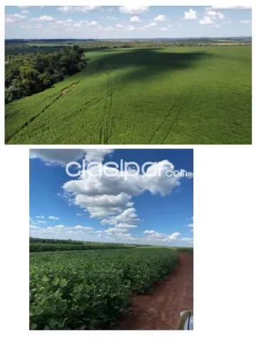 Alto parana, santa rosa del monday: 824 has mecanizadas, p/ plantíos, apta p/ transferir — foto 3