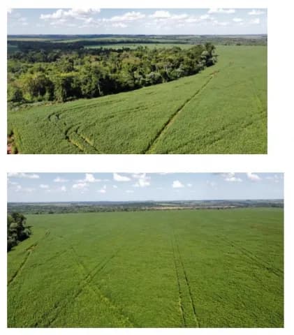 Alto parana, santa rosa del monday: 824 has mecanizadas, p/ plantíos, apta p/ transferir — foto 4