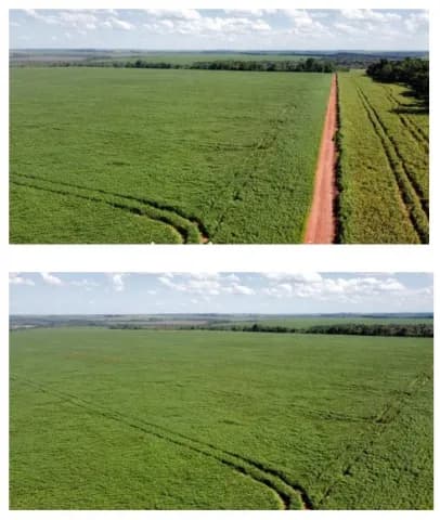 Alto parana, santa rosa del monday: 824 has mecanizadas, p/ plantíos, apta p/ transferir — foto 5