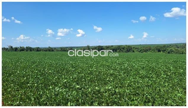 Alto paraná, iruña: 1000 has, tierra colorada, mecanizada p/ agricultura, infraestructura
