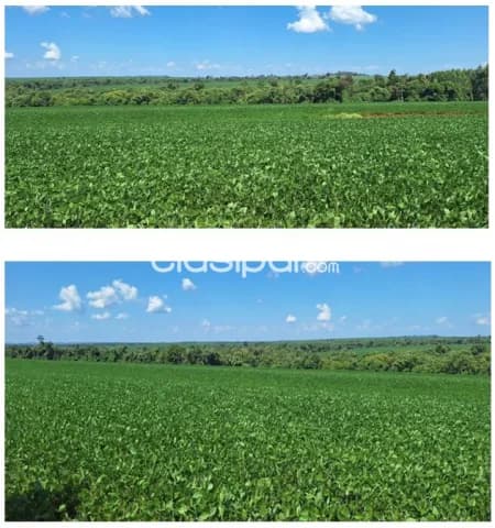 Alto paraná, iruña: 1000 has, tierra colorada, mecanizada p/ agricultura, infraestructura — foto 3