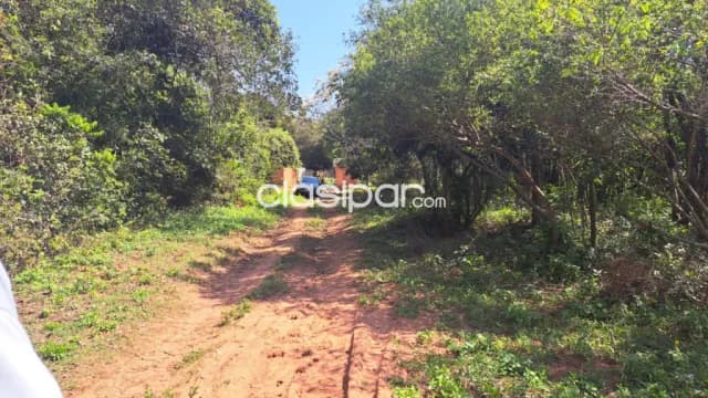 2 Terrenos juntos en Altos, foto 2