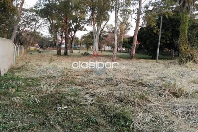 Gran Terreno en Fdo de la Mora Zona Norte — foto 4