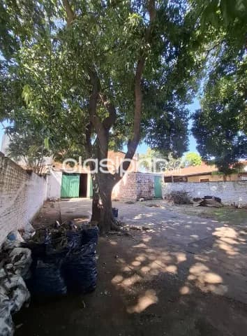 Terreno de 12x30 con tinglado de 12x12 en Luque zona Supermercado los Jardines, foto 5