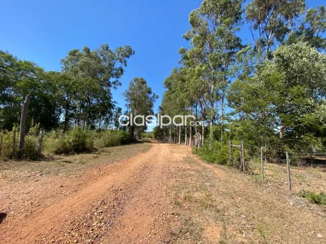 20 hectareas en pirayu, foto 2