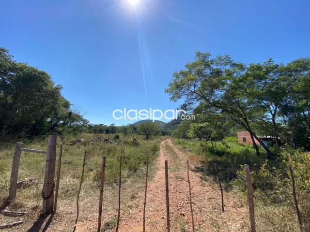 20 hectareas en pirayu, foto 3