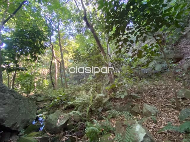 20 hectareas en pirayu, foto 4