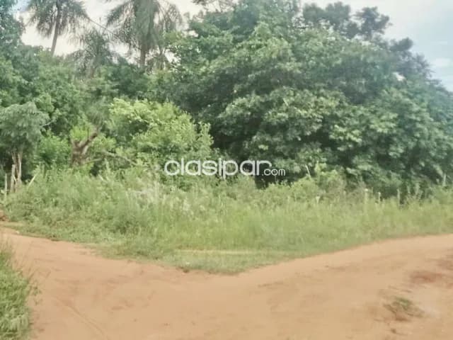 Terreno de 17.000 m2. En la ciudad de nueva colombia, foto 3
