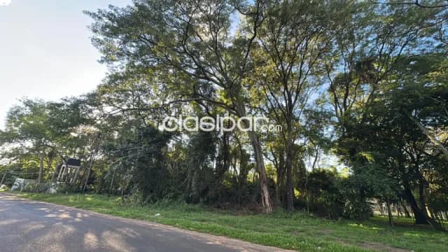Terreno de 3.784 m2 en San Bernardino sobre asfalto ruta al anfiteatro — foto 4