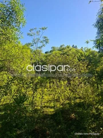 Hermoso Terreno en Venta – 4,36 Hectáreas – La Colmena, Paraguay, foto 4