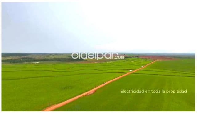 Santa rita marangatú: 6.500 has mecanizadas, altamente sojeras, producción record — foto 1