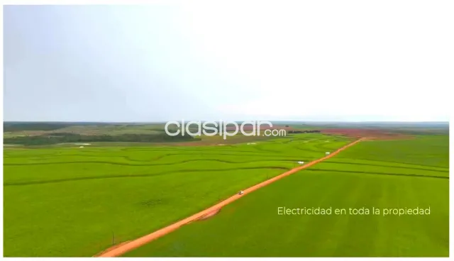 Santa rita marangatú: 6.500 has mecanizadas, altamente sojeras, producción record — foto 2