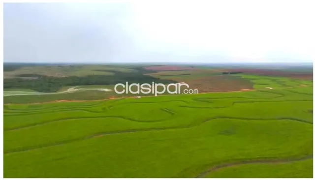 Santa rita marangatú: 6.500 has mecanizadas, altamente sojeras, producción record — foto 4