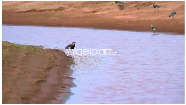 Santa rita marangatú: 6.500 has mecanizadas, altamente sojeras, producción record — foto 5