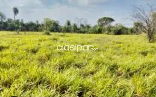 Tobati, arroyos y esteros: 4.300 m2 ideal p/ grandes emprendimientos comerciales, etc, foto 5