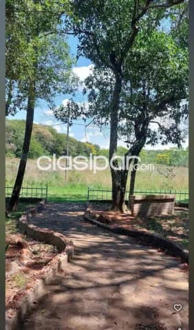 en Aregua, foto 4