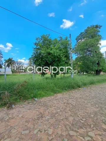 Terreno en venta - Lambaré — foto 4