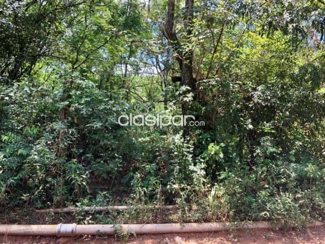 Terreno en Luque - 3379 m2