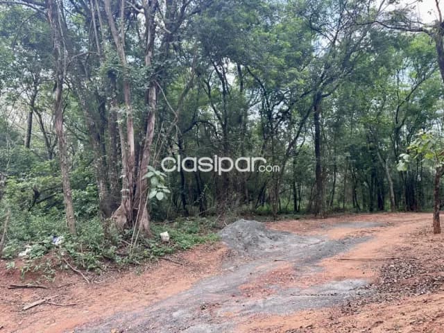Terreno en Luque - 3379 m2, foto 4