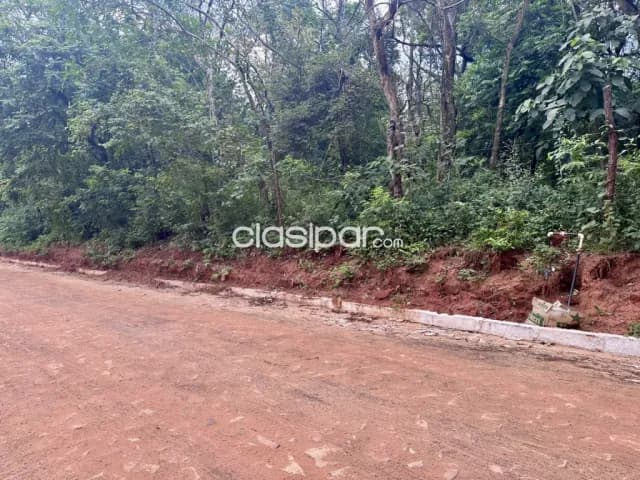 Terreno en Luque - 3379 m2, foto 5