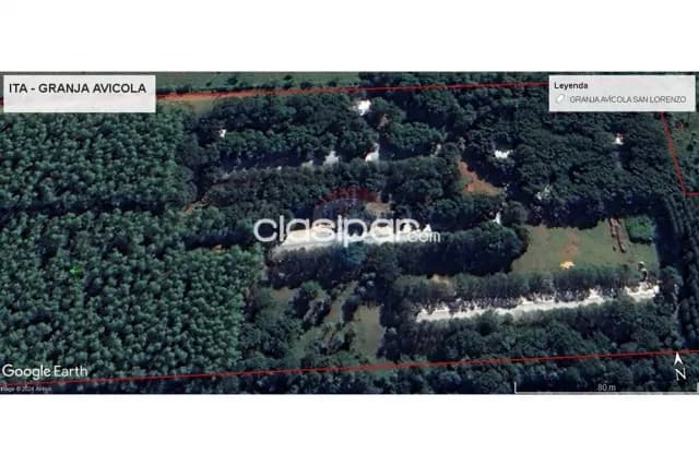 Granja avicola funcionando en ita bo.yhovy terreno 140.000 m2 — foto 2