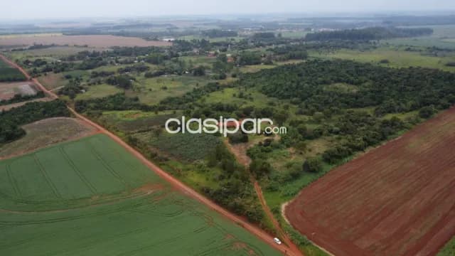 40 hectareas en minga guazu km 28 alto paraná — foto 3